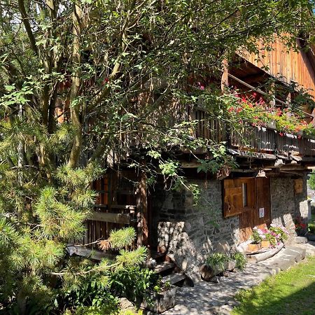 Chalet Sottoguda روكا بييتوري المظهر الخارجي الصورة